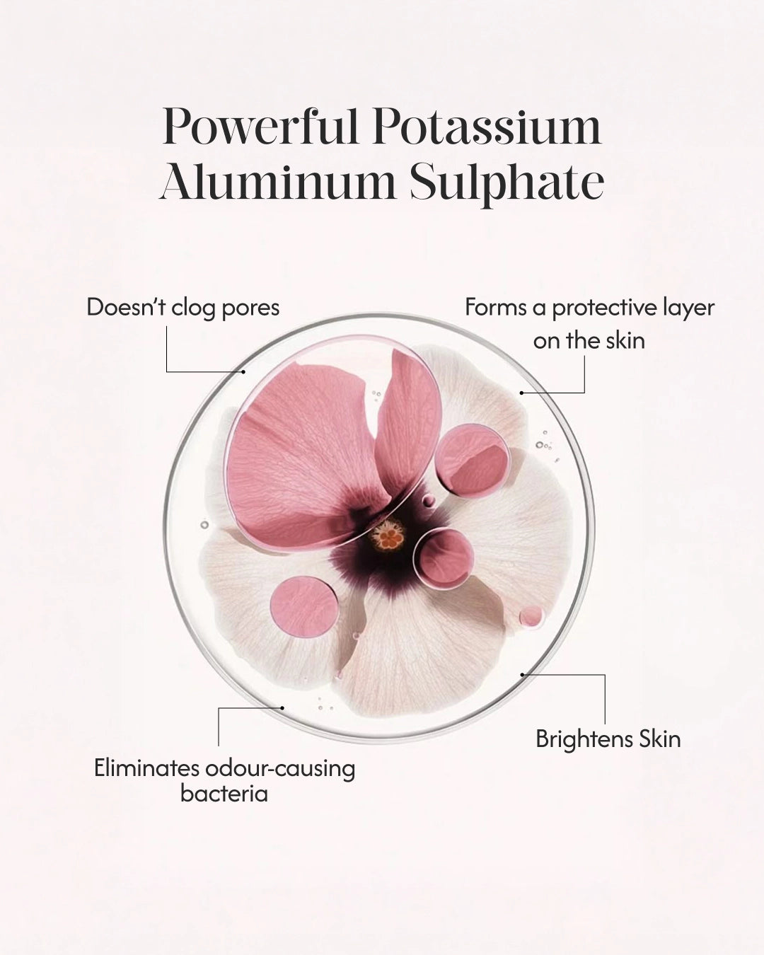 Alum Infused Crystal Roll-On Stick - Rose